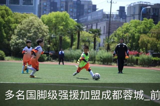 多名国脚级强援加盟成都蓉城 前场还有进人空间